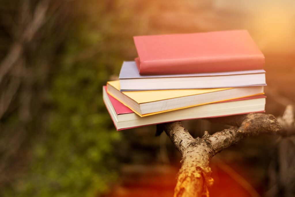 carti-despre-fotbal-2